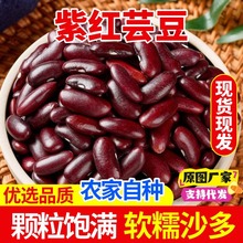 �����ϼtܿ���t��������خa��t����؛�r���ԷN�s�Z�������I��