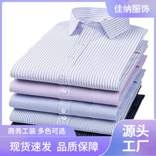 �����¿�ְҵ�������������ʿ�������аٴ�׳��������³�������