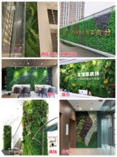 ����ֲ����w�Gֲ�������ٻ����챳�����澰�^�M�ϲ͏d�҃��b�
