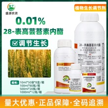 28-����̦ܿ�؃���������������~�G�ش��M����������Lͨ����