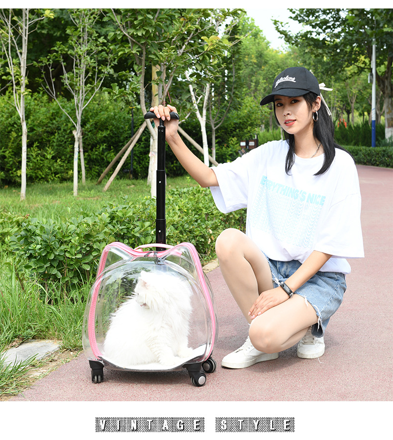 Title 14, Pet Trolley Case Dog Travel Transport Bag Trans...