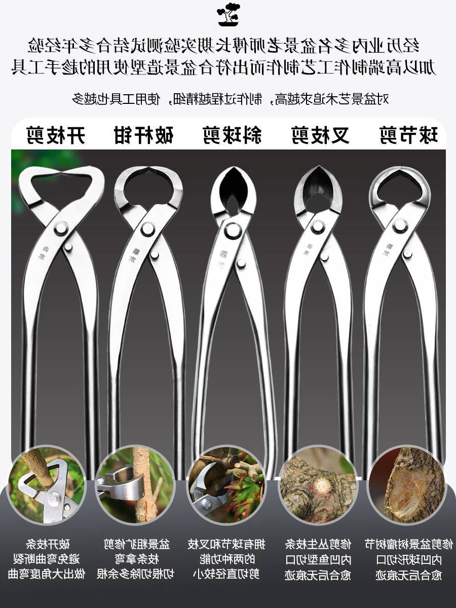 盆景修剪製作造型專用工具專業套裝 不鏽鋼球節剪葉芽破杆鉗