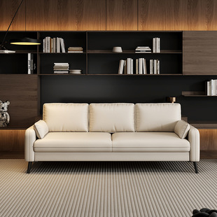 Light Luxury Sofa for Small Living Rooms, Simple Double or Triple Apartment, Clothing Store, Rental House, Seating Area, Reception Sofa