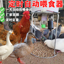 自动投喂器鸡户外远程定量投食养鸡电动鸡鸭鹅用品养殖鸡料桶