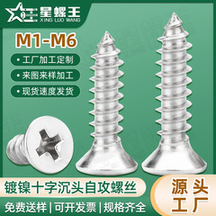 十字沈頭タッピング鉄ニッケルメッキ平頭タッピングねじKA自功小ねじM2/M3/M4/M5