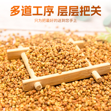 ���x�S���w�ٷ���Ş���Ĵ����ɽ�ڿ��w������Ѫ�������b����ˮ