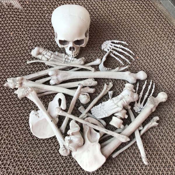 Huesos Decorativos de Utilería Set de 28 Piezas de Plástico para Halloween image 4