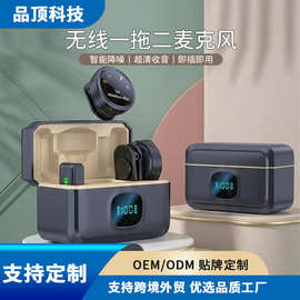 外贸新款数显一拖二领夹麦克风手机户外直播智能降噪迷你无线话筒