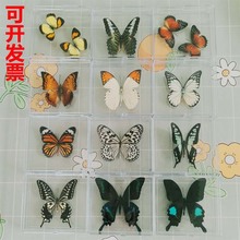 �����x�����˱���͸��������ˮ������С�W���̌W�˱��̾ߺ�
