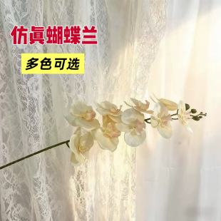 �����m���滨��c��Y���üٻ��������ľƵ�Y���b������T������