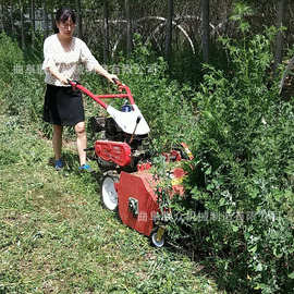 小型园林灭草机图片 山区菜园地杂草碎草机 果树间碎草机