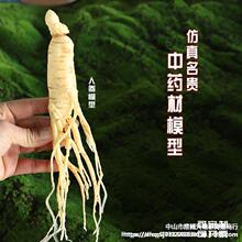 ș�Ę˱���ș����ģ�ͽ̾��S�����˅���ș���`֥����x�ݵ��ߙ���