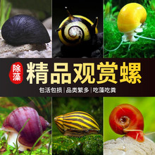 �^�p�ݵ�ˮ�~�׳��幤�߳����~���坍�~�S���wС�����S�����O����