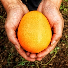 ���ڼ~�ɠ�Ě�ȑ��������r���w�M��Ě�ȬFժ���Ӯ���ˮ������10��