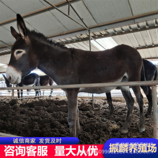 ���H�����H�r�� �H����۞��^�H���� С�H ɽ�|���H�Bֳ��