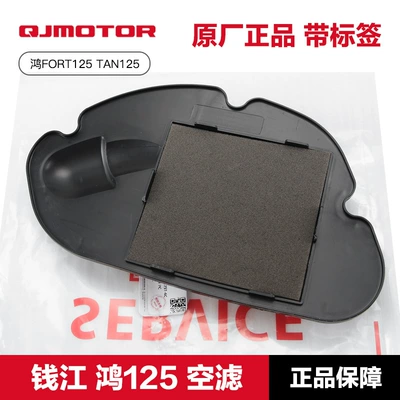 Air filter Parts HongFORT125 TAN125 Air