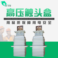 JYN2-10/630-1250A�o�|�^���������|�^��2000A 1600A