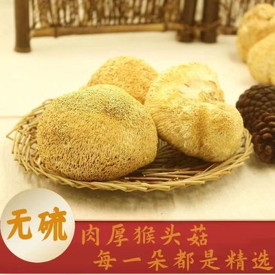 Hericium wholesale dried food Hericium Wild mushroom Season new goods Soup Farm specialty One piece On behalf of