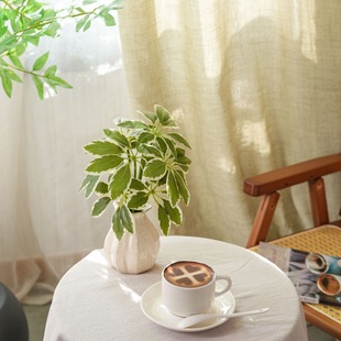 С���^����ľ(�׾G)���滨�S�Ҽٻ��Gֲ�����l��c�b�INS�L�羳