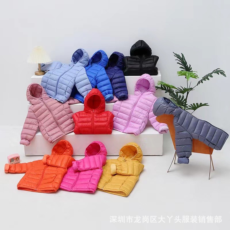 微信图片_202310201455501