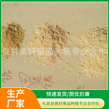 ���N�ĩ�� ���ܷNֲ���B���ĩ �ĩ���㹽�� �ĩ���b�����]