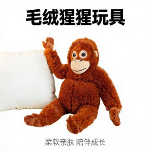 �羳�W�tС���ӹ����ȶ���˹���ճ���L������ë�q��߃�ͯ������