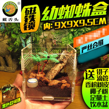 ���F�i��Խ�zС�́���������֩��� ��/�䗫֩��� �ߴ�9X9X9.5