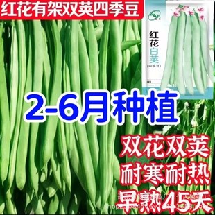 �t���ļ����N�ӟo��ǷN�Ѳ����ܿ���Nԭ�b�ļ����ǷN��ȫ���l