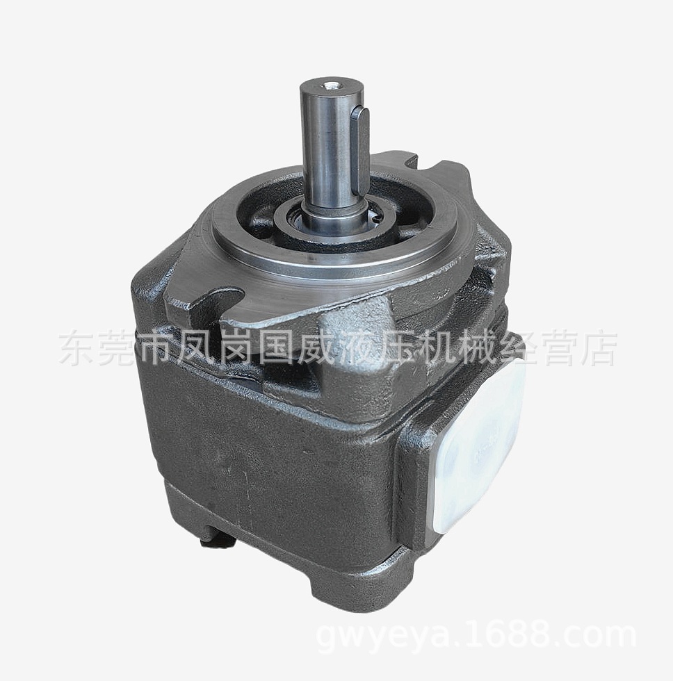 �ձ�����JPWORLD��������HG1-40 50 63�滻SUNNY ECKERLE������