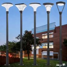 ̫��ܑ������������2025�¿�6��С�^·���^�e������ͥԺ�ߗU��