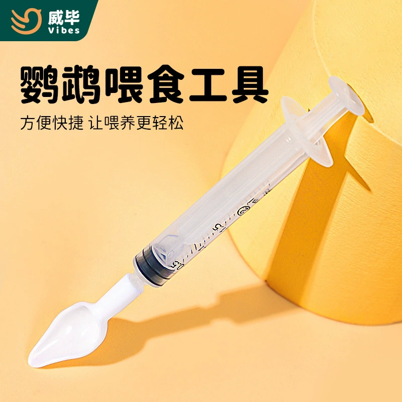 Попугай птицы птенцы птенцы кормят сухим молоком