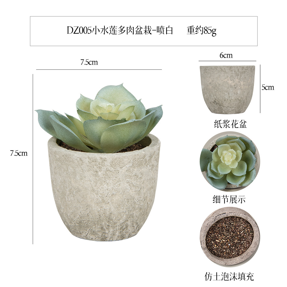 Más de 100 estilos de macetas de pulpa de papel vintage con plantas suculentas simuladas, pequeños adornos populares de estilo jardín para decoración del hogar transfronteriza. image 18