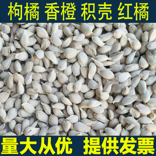 �²����ٷN�� �ך��N����ȼt�ٷN�Ӹ��ټ޽���ľ��N�� �����h��