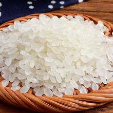 东北大米农家珍珠米5斤10斤厂家批发软香粳米圆粒新米袋装1件代发