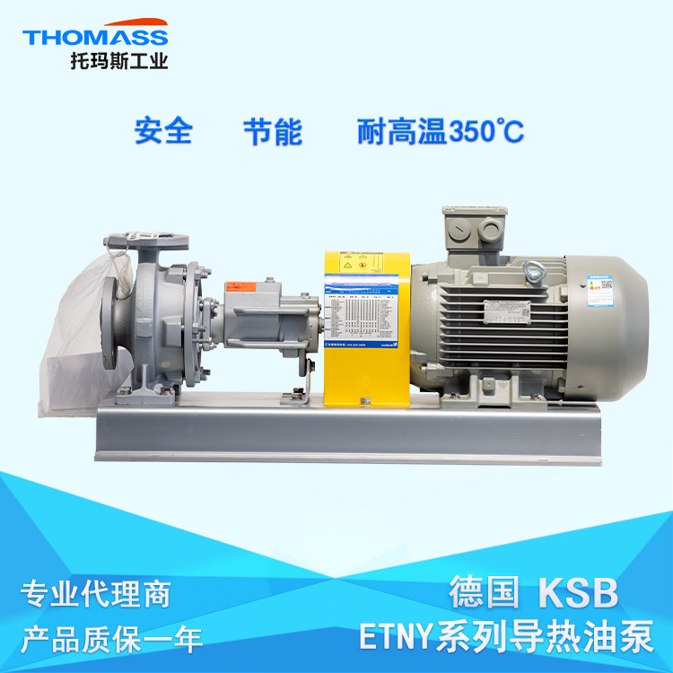 德国ksb导热油泵-ksb热媒循环泵-ksb ETNY100-80-200/219热油泵