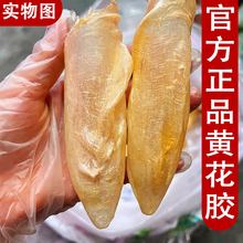 �S������خa�Юa�D�~տ�����z�~�z���~���~����ζ��Ş��