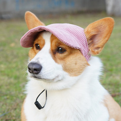 Pet it, casual dress, cat and dog hat, Amazon corduroy pet baseball cap, sun protection outdoor headwear
