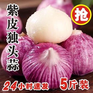 2025���^��ɴ����^���r������Ƥ�A�^����t����5���߲ˮ���