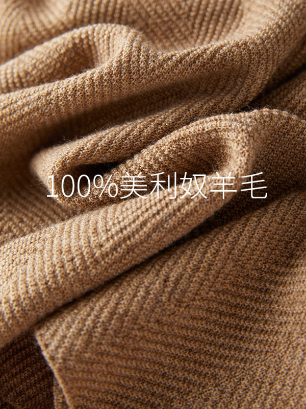扬子纱100羊毛 肌理鱼骨纹半高领长袖针织套头毛衣女秋冬新款|undefined