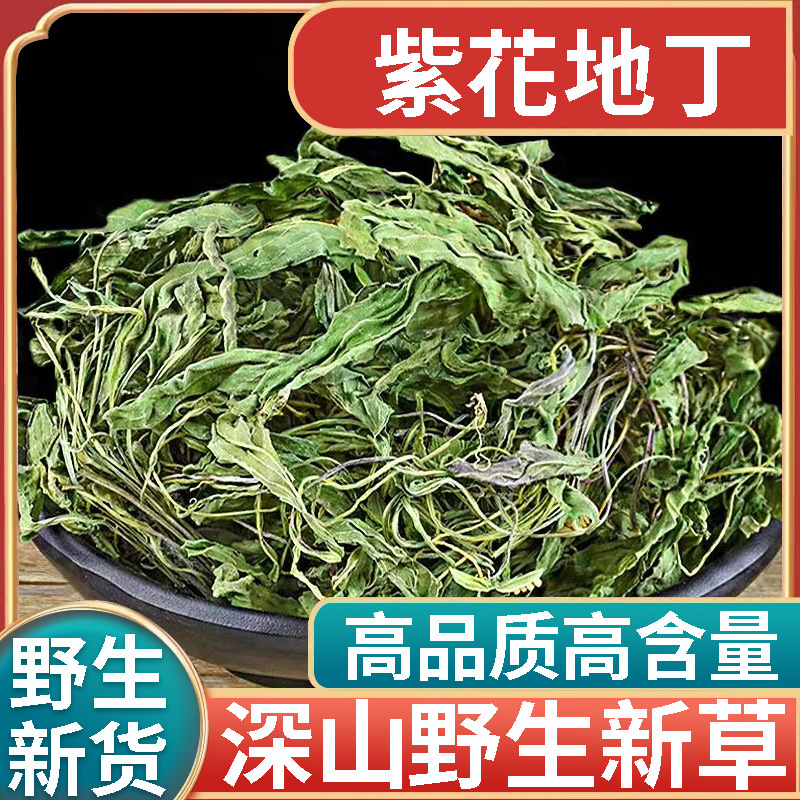正品野生紫花地丁新货中药材500g正宗犁头草地丁草地丁苦地丁泡水