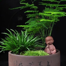 �������Խ��X���Ѹ�ʯ�쾰ֲ���辰��΢���^�[����ʽ�����̨�Gֲ