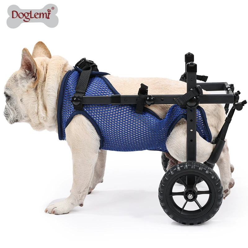Собака инвалидная коляска задняя нога стента парализована инвалидная машина