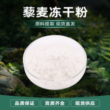 源头现货量大从优品质藜麦粉  烘焙原料固体饮料原料藜麦冻干粉