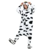 Dairy