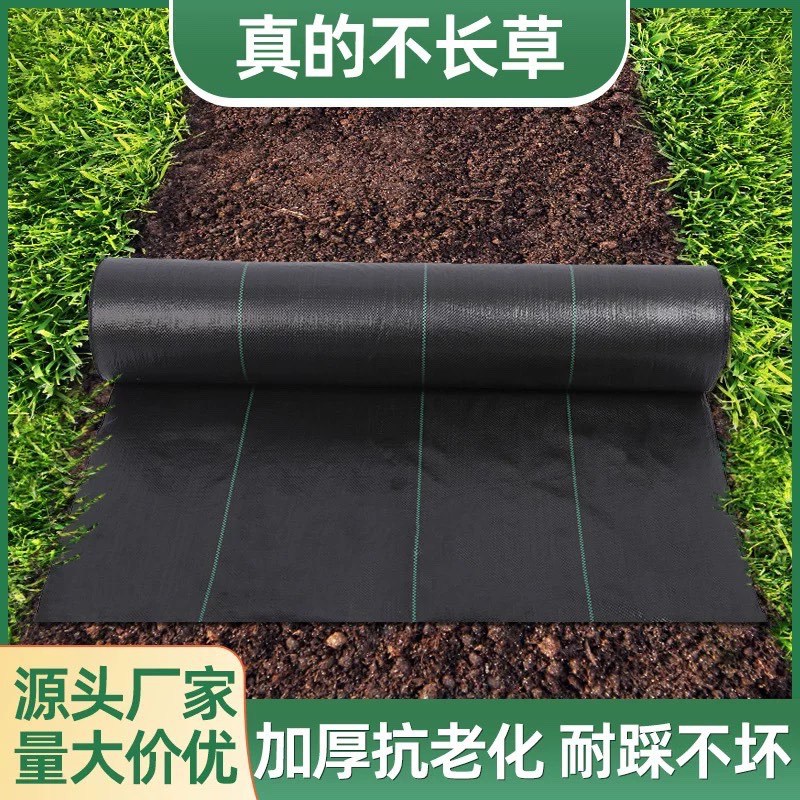 果园树木防草布.防草.地.除草布.盖草布.农用防草地布