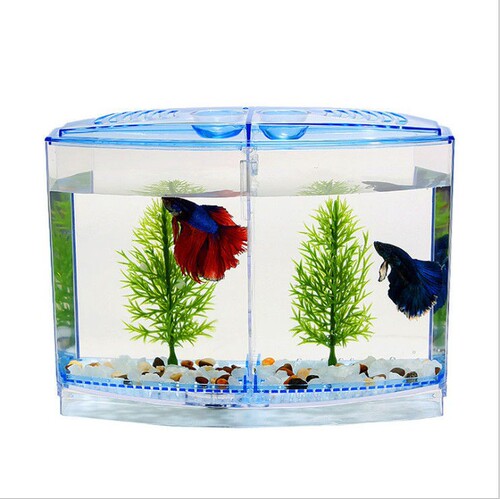 Large double fighting fish box ecological fighting fish tank mini aquarium plastic isolation box breeding box betta fish guppy