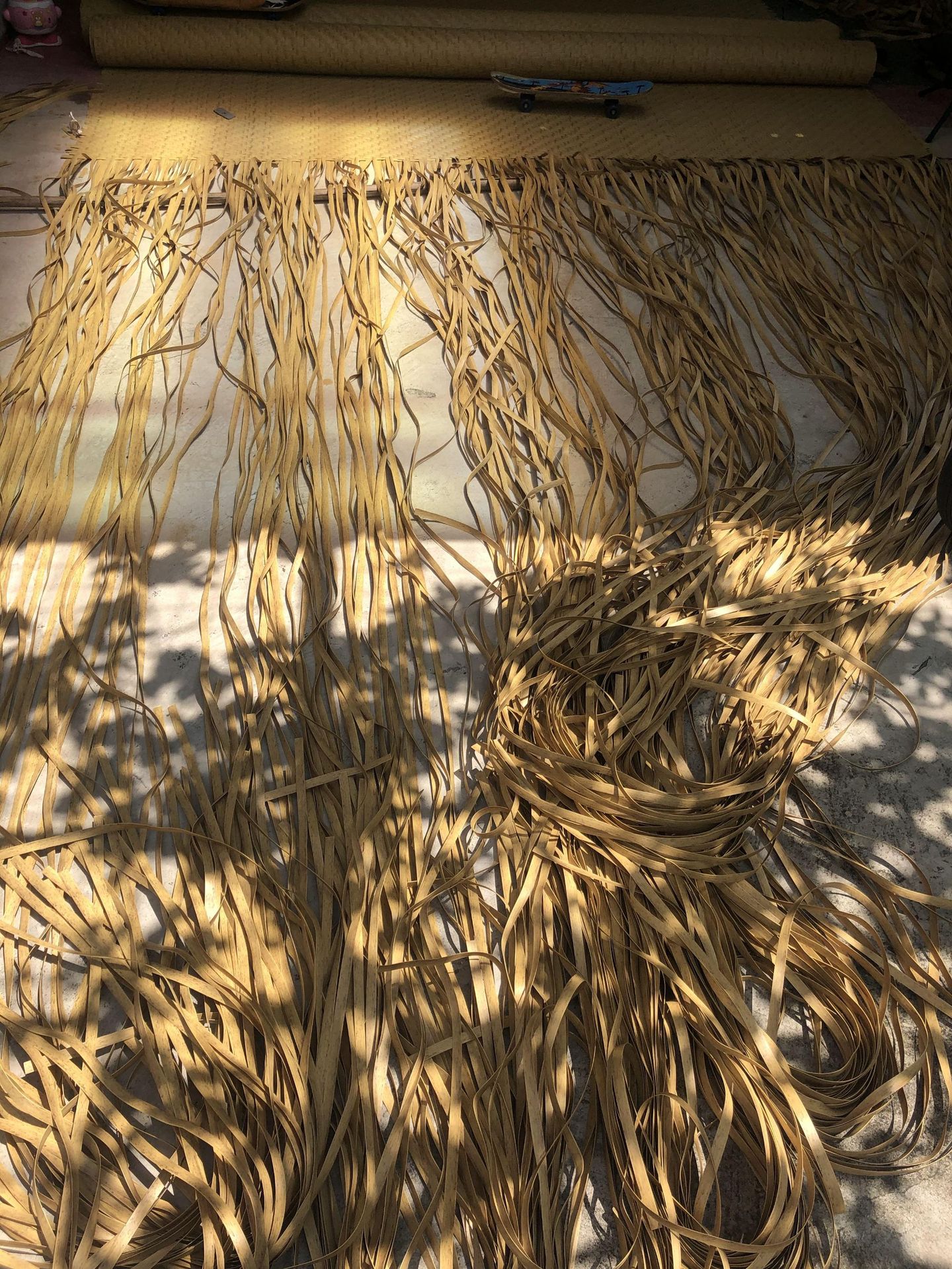 2020_07_22_10_51_IMG_3234