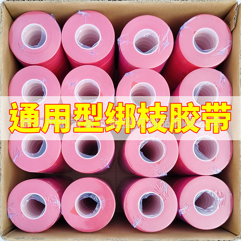 PE30 m caja entera engrosada cinta especial cuerda de uñas tomate rama de uva máquina de encuadernación rama dispositivo de encuadernación fulian