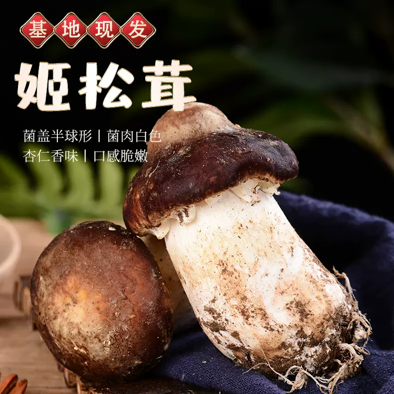 云南产地姬松茸特产新鲜松茸食用菌火锅煲汤食材赤松茸巴西菇顺丰