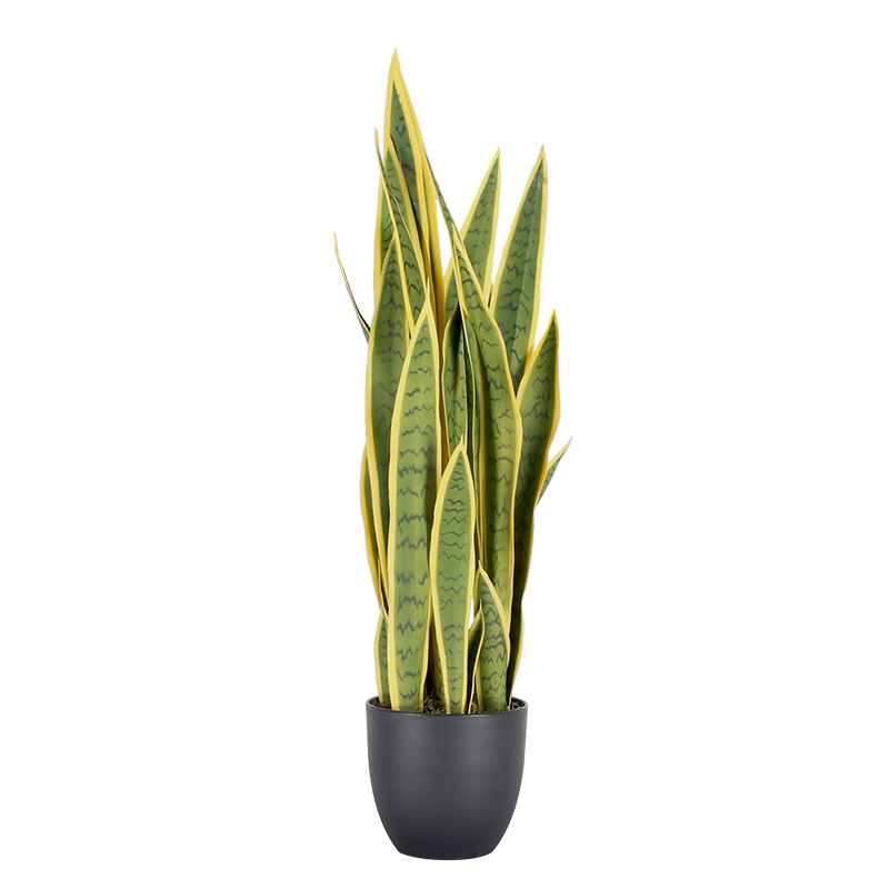 Simulación de borde amarillo tigre Pilan planta en maceta decoración decoración simulación lengua materna exterior Phnom Penh planta verde de hoja alta con maceta tigre Pilan image 8